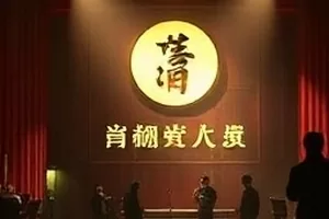 钢铁回声中机甲落地扬尘的画面